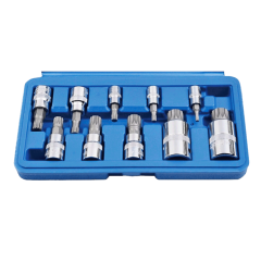 10 Parça  CR-V M Tipi Torx Lokma Seti