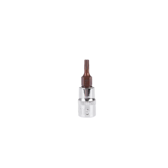1/4inç Torx CrV S2 Lokmalar